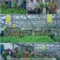 Oplus_131072