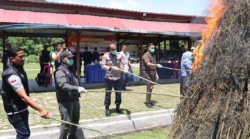 Polres Aceh Besar Musnahkan Barang Bukti Narkotika, Lebih dari 110 Kg Ganja dan Sabu Dimusnahkan