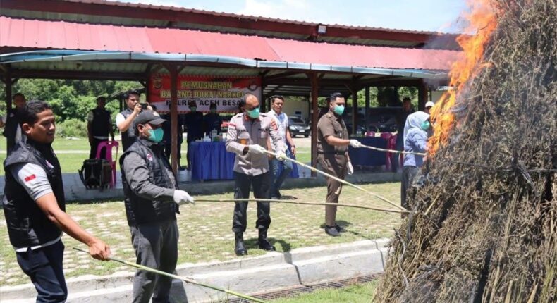 foto slider headline