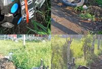 Foto. (Dok. Jurnalis TLii)