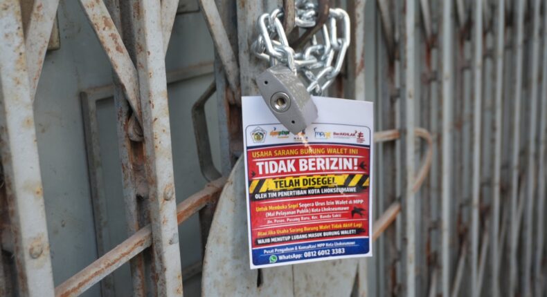 foto slider headline