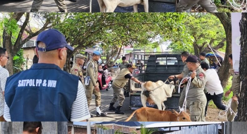 foto slider headline