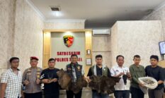 berita-pilihan-foto