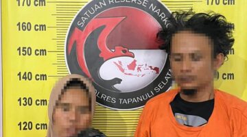 Satresnarkoba Polres Tapsel Gagalkan Peredaran 3 Kg Ganja, Dua Pelaku Ditangkap Gunakan Becak Motor