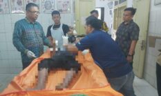 berita-pilihan-foto