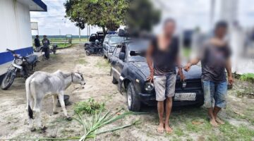 Warga Hubungi 110, Dua Pencuri Anak Lembu di Simalungun Dibekuk Usai Kabur Pakai Sedan dan Tabrak Pemotor