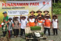 PKS Aceh Tanam Padi Perdana Musim Gadu di Aceh Besar, Dorong Kesejahteraan Petani