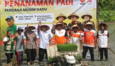 PKS Aceh Tanam Padi Perdana Musim Gadu di Aceh Besar, Dorong Kesejahteraan Petani
