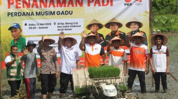 PKS Aceh Tanam Padi Perdana Musim Gadu di Aceh Besar, Dorong Kesejahteraan Petani