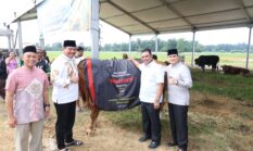 berita-pilihan-foto