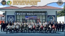 Oplus_131072