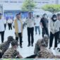 Oplus_131072