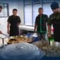 Oplus_131072