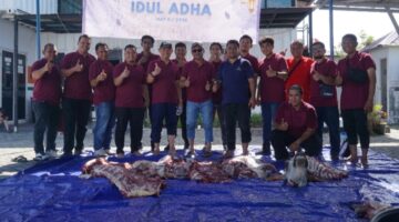 Oplus_131072