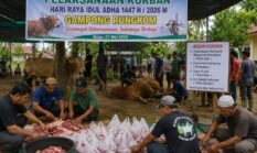 berita-pilihan-foto