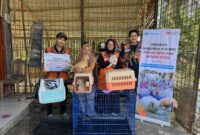 Rumah Zakat Berasama Kitabisa.com Salurkan Bantuan Pakan dan Pengobatan untuk Kucing Terdampak dan Penyintas Banjir