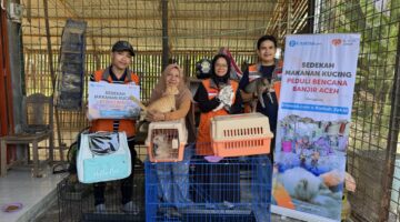 Rumah Zakat Berasama Kitabisa.com Salurkan Bantuan Pakan dan Pengobatan untuk Kucing Terdampak dan Penyintas Banjir