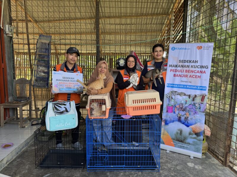 Rumah Zakat Berasama Kitabisa.com Salurkan Bantuan Pakan dan Pengobatan untuk Kucing Terdampak dan Penyintas Banjir