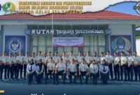 Oplus_131072
