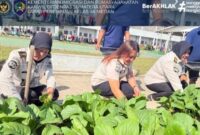 Oplus_131072