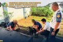 Oplus_131072