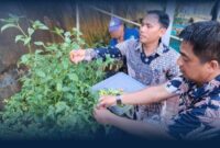 Oplus_131072