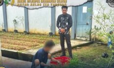 berita-pilihan-foto