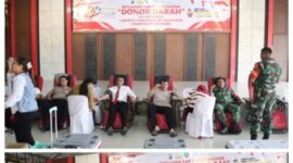 Oplus_131072