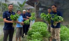 berita-pilihan-foto