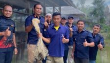 Oplus_131072