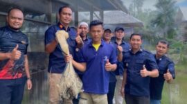 Oplus_131072