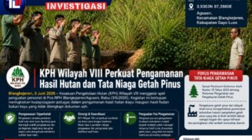 Zulhamuddin Arbi S.Hut (KSBTU KPH VIII Aceh) Perkuat Pengamanan Hasil Hutan dan Tata Niaga Getah Pinus di Gayo Lues 