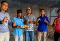 Oplus_131072