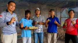 Oplus_131072