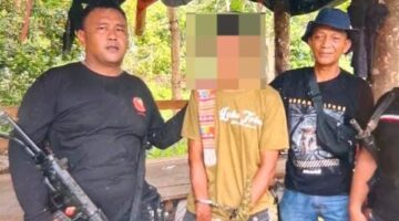 Berawal dari Informasi Warga, Polisi Langkat Ungkap 11 Batang Ganja di Perladangan