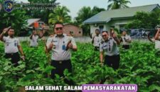 Oplus_131072