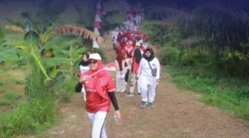 Oplus_131072