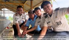 Oplus_131072