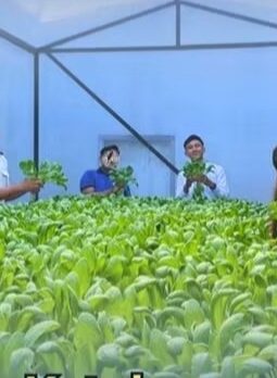 berita-rekomendasi-foto