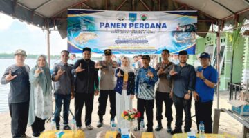 Panen Perdana BUMDes Kuala Maju, Dorong Ekonomi Gampong