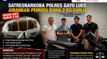 Satresnarkoba Polres Gayo Lues Amankan Pemuda, 2 Kilogram Ganja Disita