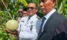berita-pilihan-foto
