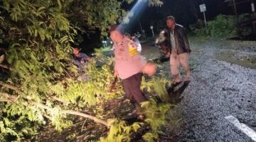 Polisi dan Warga Gercep Berjibaku Singkirkan Pohon Tumbang di Trienggadeng