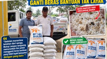 Bikin Geger! Warga Temukan Batu hingga Kutu dalam Beras Bantuan, Bulog Langsa Bergerak Cepat