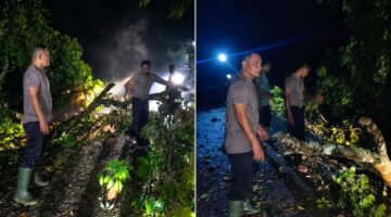 Aksi Sigap Kapolsek Idi Tunoeng IPDA Saiful Bahri Bersihkan Pohon tumbang Ke Jalan Desa.