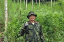 Semangat Sumpah Pemuda, BNNP Aceh Ungkap Ladang Ganja Seluas 18 Hektare di Aceh Utara