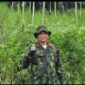 Semangat Sumpah Pemuda, BNNP Aceh Ungkap Ladang Ganja Seluas 18 Hektare di Aceh Utara