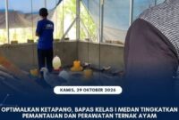 Oplus_131072